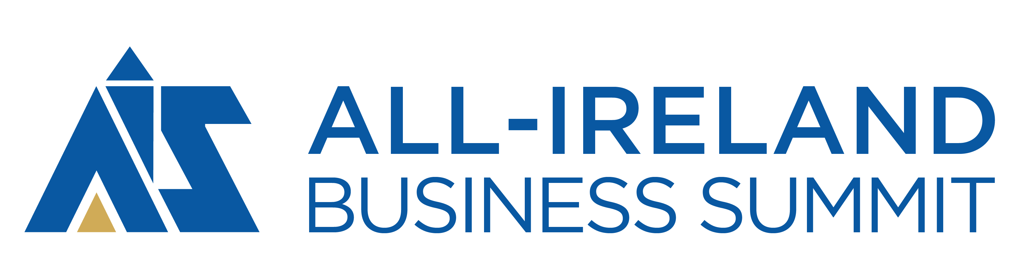 All Ireland Business Summit Logo 01 - E17